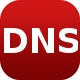 Domain Dns Issues Diagnoser
